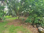9.36 P Prime Residential Land For Sale in Nawala | SL14663