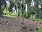 95 Perch Bare Land for Sale Pannipitiya