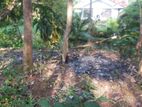 95 Perch Land for Sale in Thalalla CGGG - A1