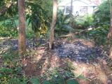 95 Perch Land for Sale in Thalalla CGGG - A1