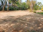 95 Perch Land For Sale Tangalle