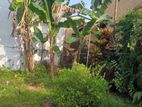 9.5 Perches Land Sale in Kalubowila Dehiwala