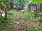 9.50P Bare Land For Sale In Angoda