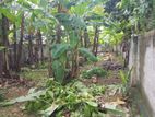 9.50P High Residential Bare Land For Sale In Angoda