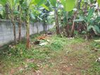 9.50P Residential Bare Land For Sale In Angoda,