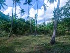 95P Land for Sale Wariyapola, Mahakeliya, Thilakadasanayaka Mw