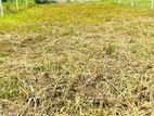 9.7 Square Land for Sale - Boralesgamuwa