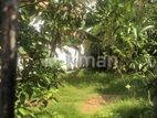 9.8 Perch Land For Sale In Nawala MRRR -A2