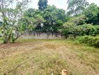 9.85 Perches Residential Bare Land For Sale In Battaramulla