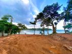 99P Beach Front Bare Land For Sale In Matara