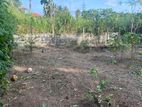 9P Residential Land - Wariyapola, Werapola near Ebony Holdings