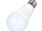 9W DC Bulb