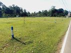 A beautiful land for sale in peaceful environment