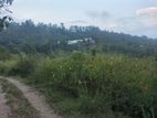 Beautiful Land for Sale Near to The Town Welimada