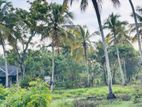 Land for Sale Malwatta, Kurunegala Rd, Chilaw