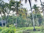 Land for Sale Malwatta, Kurunegala Rd, Chilaw