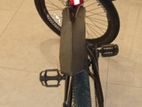 Everstar Bicycle