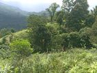 Land for Sale Kithulgala