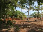 A Lagoon Front Land for Sale in Kosgoda