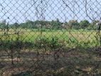 A Land Facing Paddy Field Boralesgamuwa