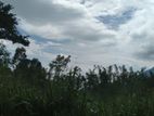 A Land for sale