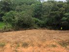 A land for Sale Kalutara