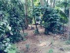 Land for Sale - Wattegama
