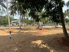 A Land for Sale in Anuradhapura Saliyamawatha