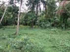 A land for sale in Homagama, Wataraka, Colombo District