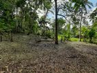Land for Sale in Kotawila, Kamburugamuwa