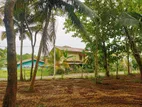 A Land for Sale in Peaceful Surroundings,marakolliya Tangalle.