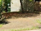 Land for Sale Near Colombo-Kandy Main Road