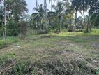 Land for Sale in Ibbagamuwa