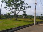 A land near Priyandala town Y31