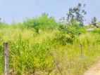 A Land Prime Location Near Kurunegala Town