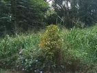 A Luxurious Land in Kundasale ,kandy