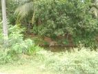 Land in Polonnaruwa
