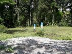 A Plot of Land in Beautiful Setting - Palapathwala
