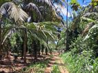 A prime residential land for sale in Naula (Arangala), Matale