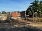 A residential land for sale in Thannamunai