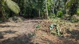 A Superb Residential Land for Sale in Poddala - Baddegama