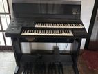 A Used Organ Electone