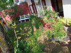 A Valuable 12 Perches Land with Old House For Sale in Narahenpita.