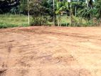 A Valuable 146 Perches Land for Sale in Homagama