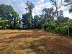 A Valuable Bare Land for Sale in Mahara