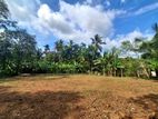 A Valuable Bare Land for Sale in Mahara, Kadawatha.