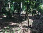 A Valuable Land for Sale at Kalubowila