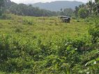 Valuable Land for Sale Kuruwita