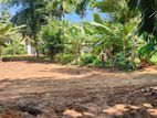 A Valuable Land for Sale in Attanagalla, Nittambuwa.