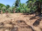 A valuable land for Sale in Attanagalla, Nittambuwa.